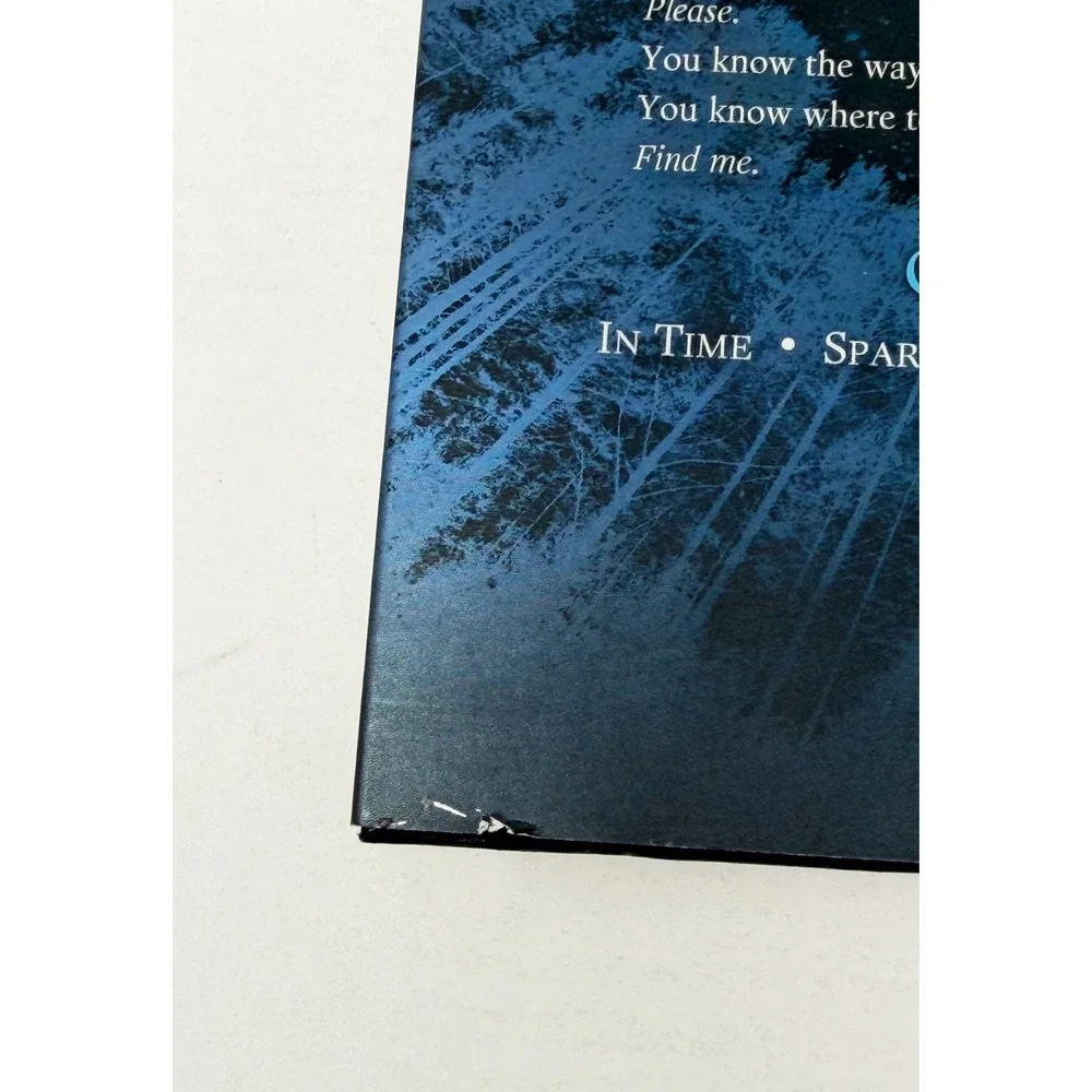 Through the Dark Alexandra Bracken 1st Edition 1st Printing Hardcover DJ 2015